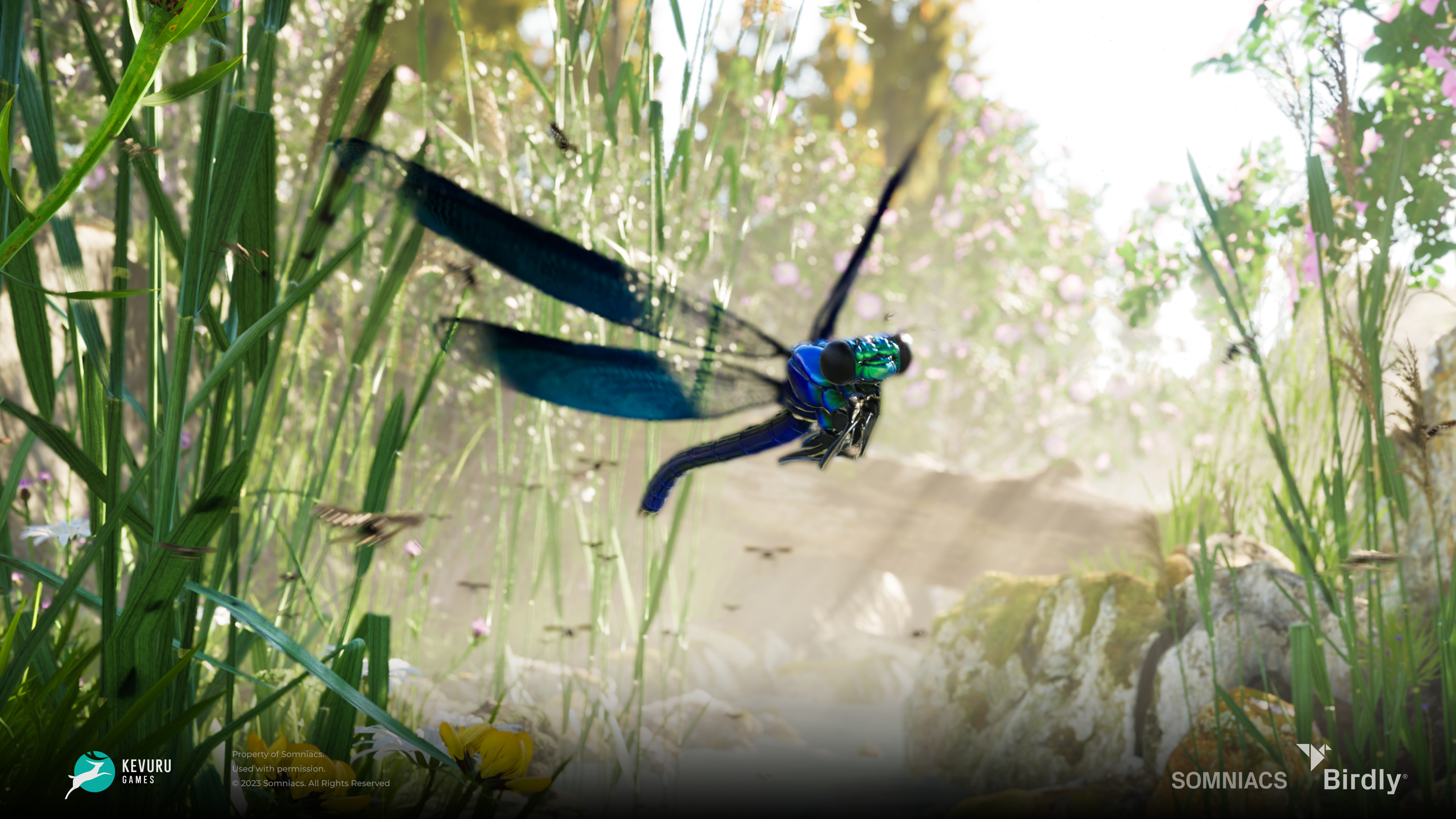 3D environment – Insects 4