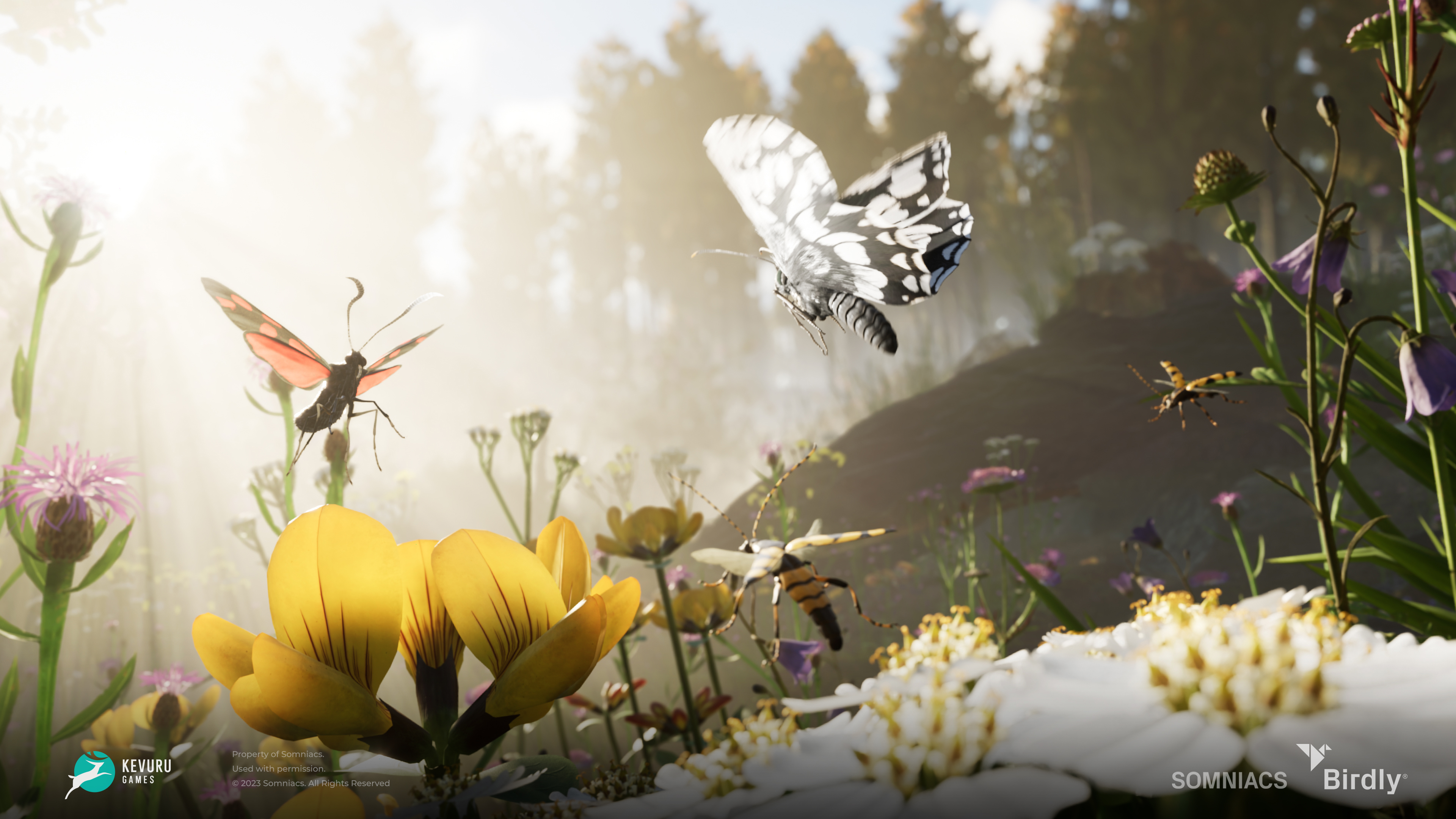 3D environment – Insects 8